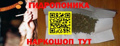 PSILOCYBIN Кингисепп