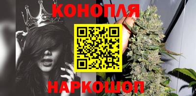 PSILOCYBIN Кингисепп