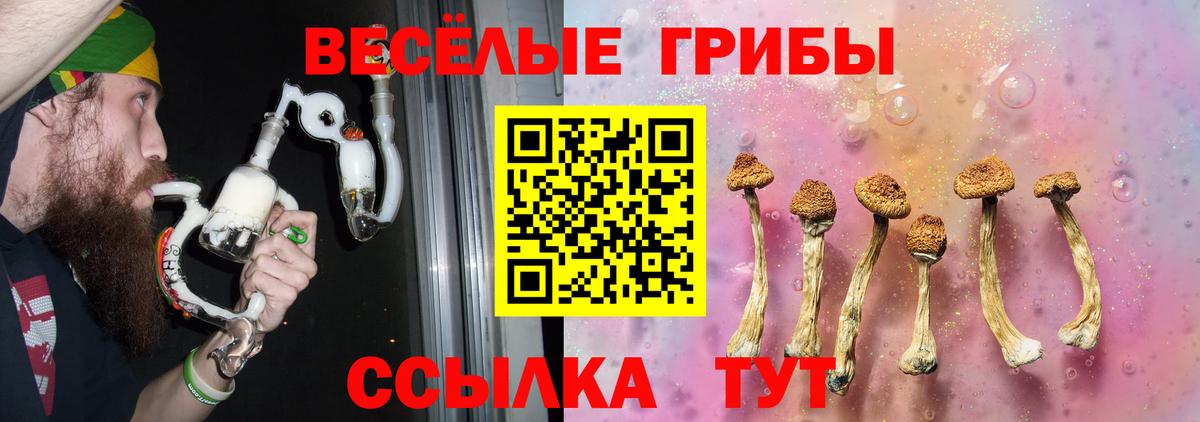 Кострома  купить наркотик  Вход с VPN  Галлюциногенные грибы Psilocybe 